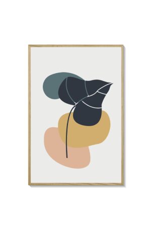 Abstracta 50