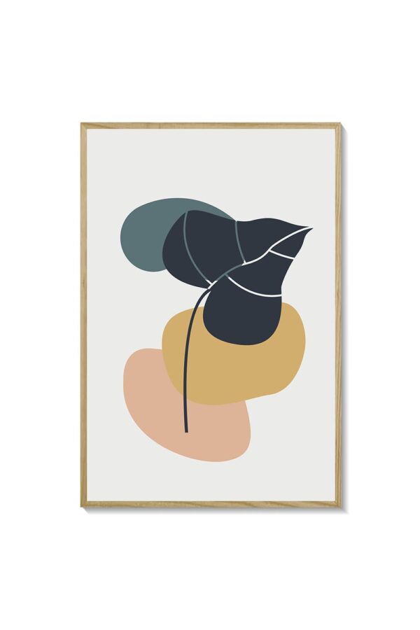 Abstracta 50