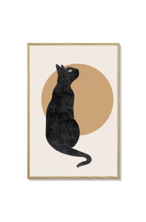Gato