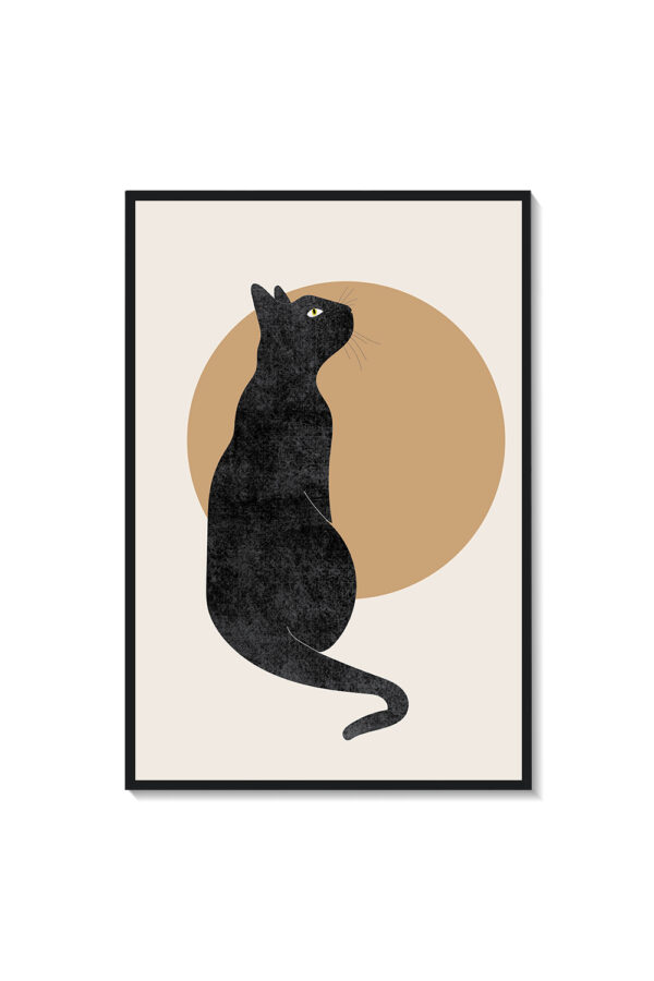Gato - Imagen 2