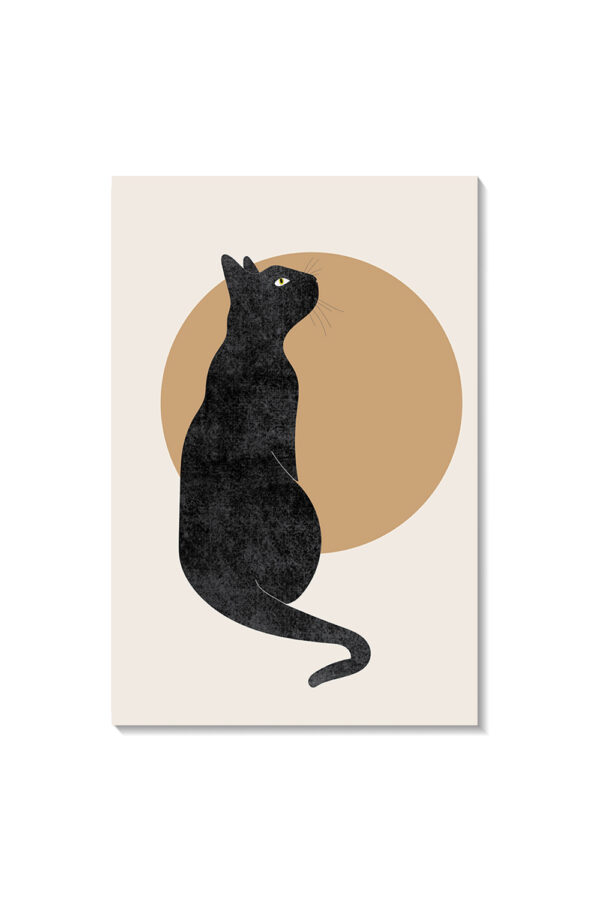 Gato - Imagen 4