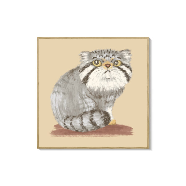 Gato pardo