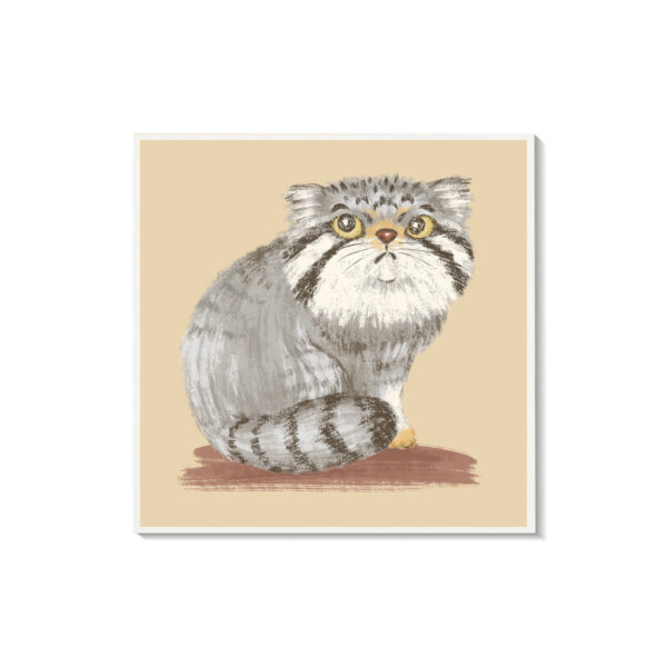 Gato pardo - Imagen 3