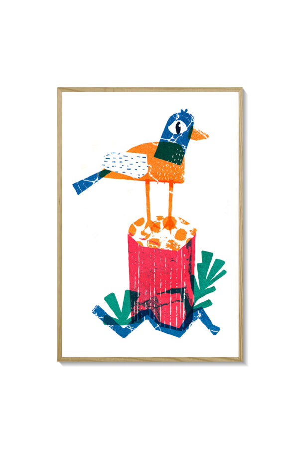 Pájaro de colores