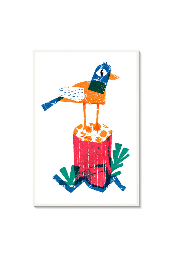 Pájaro de colores - Imagen 3