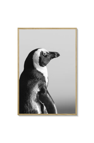 Pingüino