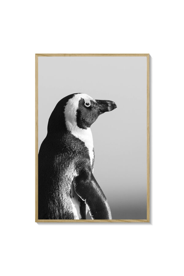 Pingüino