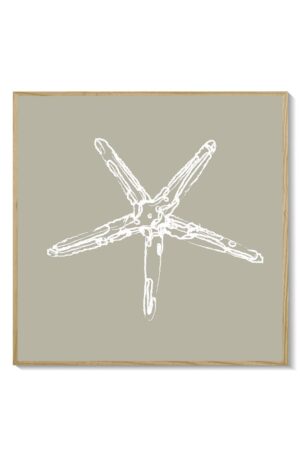 Estrella
